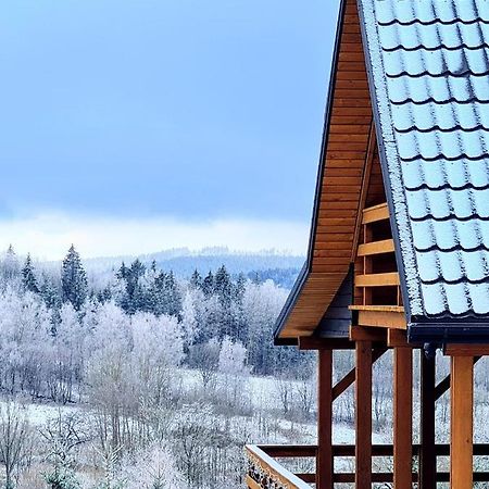 Osada Sierpnica - Uroczy Dom Z Kominkiem I Balia W Gorach Sowich Ngoại thất bức ảnh